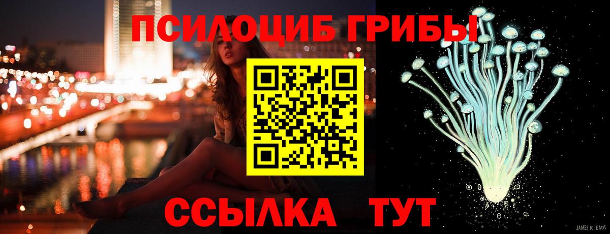 Галлюциногенные грибы MAGIC MUSHROOMS  Вход с VPN  Старая Купавна  купить закладку  Псилоцибиновые грибы Magic Shrooms 